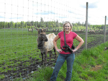 Load image into Gallery viewer, Mountaineer Chest Rig  (Alaskan, Field Style)